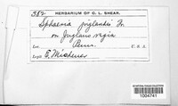 Image Associated With the Occurence